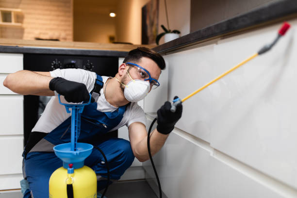 Best Bed Bug Extermination  in Palm Bay, FL
