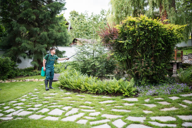 Professional Pest Control in Palm Bay, FL