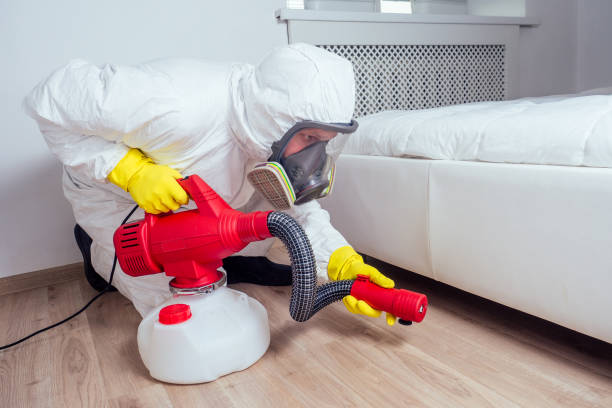 Best Mosquito Control Services  in Palm Bay, FL