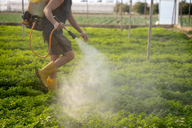 Best Emergency Pest Control  in Palm Bay, FL